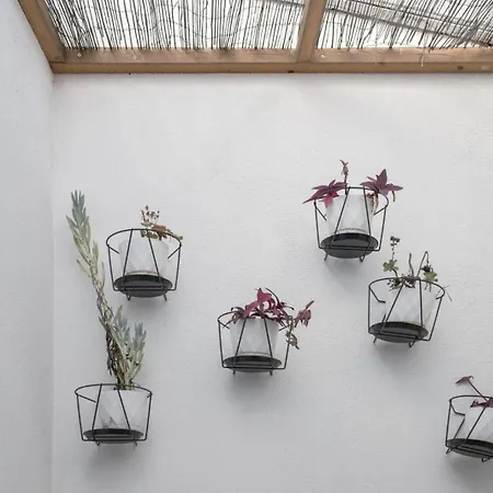 Alfama Design With Terrace By Homing Apartment Lissabon